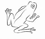 Frog Coloring Pages Printable Tree Cycle Life Frogs Red Eye Drawing Drawings Animals Print Getdrawings Sheets Discover sketch template