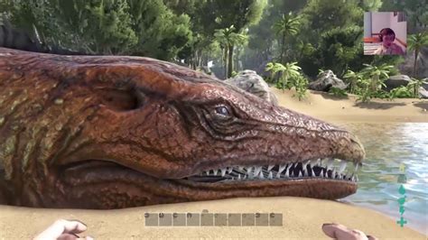ark survival evolved  dinosaurs youtube
