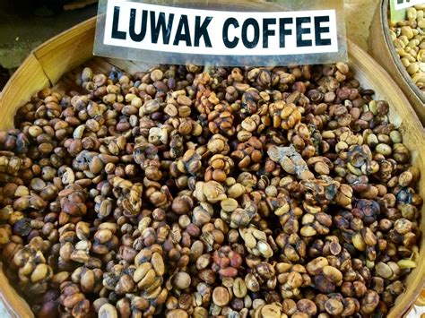 urutan kopi terenak  indonesia menurut riset  cybermapcoid