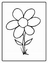 Flower Coloring sketch template