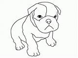 Coloring Dog Pages Pitbull Boxer Puppy Baby Cute Puppies Drawing Drawings Dogs Pitbulls Kids Print Line Color Printable Pug Clipart sketch template