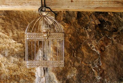 bird cage  photo  freeimages
