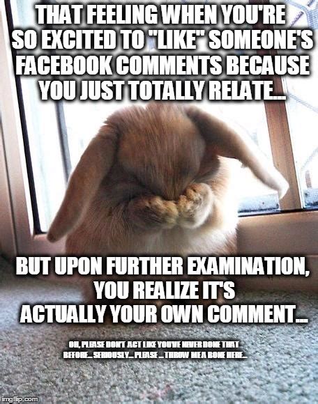 embarrassed bunny imgflip