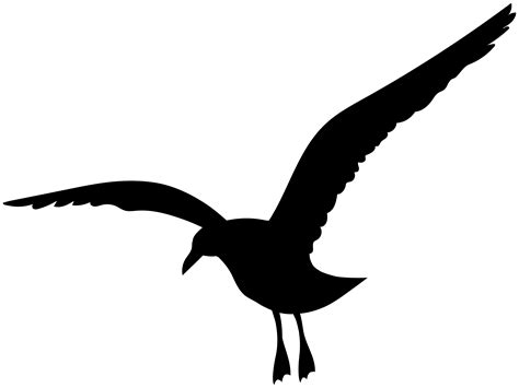 Seagull Bird Silhouette Png Clipart Gallery Yopriceville High
