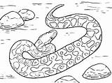 Coloring Pages Viper Snake Anaconda Dodge Rattlesnake Ninjago Color Getcolorings Diamondback Drawing Scary Getdrawings Printable Colorings sketch template