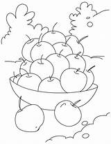 Colorat Cirese Planse Fructe Visine Cereja şi Fructele Să sketch template
