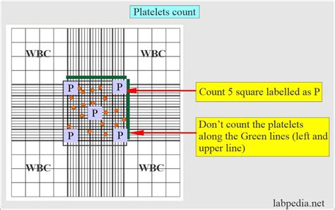 count platelets   manual method  improved