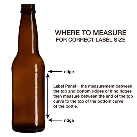 beer bottle dimensions inches  pictures  decription forwardsetcom