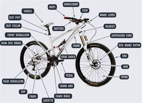 bikeparts mountain bike parts diagram devinstudio mengendarai sepeda sepeda balap sepeda