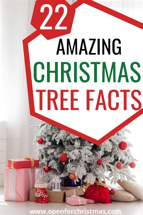 amazing christmas tree facts youre    place find