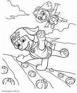 Patrol Paw Coloring Pages Printable Zuma Kids Skye Print Psi Do Wydruku Characters Kolorowanki Para Canina Malowanki Patrulla Pintar Colorear sketch template