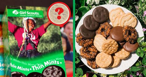 girl scouts unveils  latest cookie flavor    excited