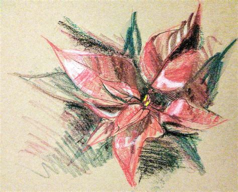 create  drawing  day poinsettia