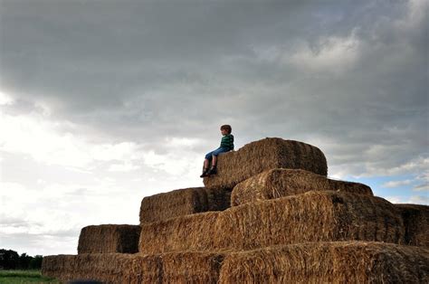 berkum pyramids hay stocks  berkum meckenheim wes flickr