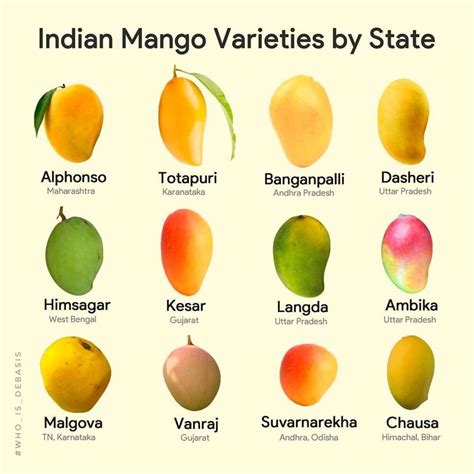 indian mango variety  state latest duniya