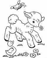 Coloring Animals Cute Pages Printable Popular sketch template