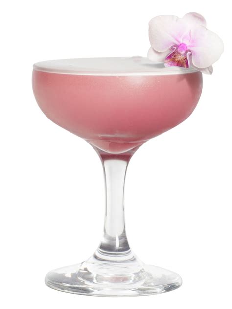 girly cocktails girly drink recipes