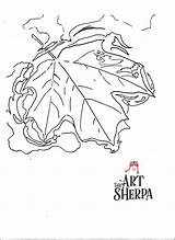 Traceable Sherpa sketch template