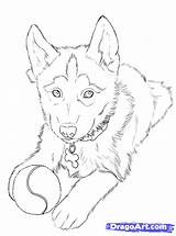 Husky Drawing Draw Huskies Puppy Dog Easy Drawings Dragoart Simple Cool sketch template