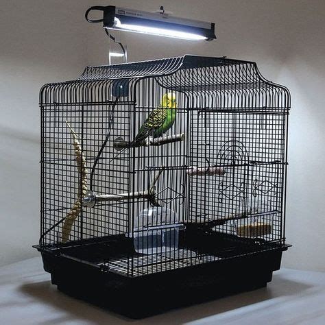 parrot bird lights lighting solutions