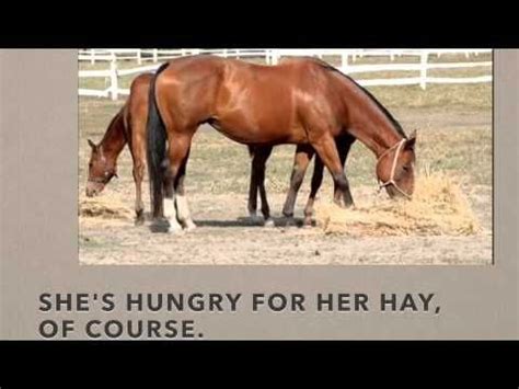 hattie horse youtube abc movies