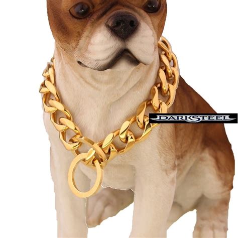 collar cadena para perro acero dorado inox 61cmspor 19mm