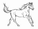 Cavalli Disegni Cavallo Colorare Bambini Corsa sketch template