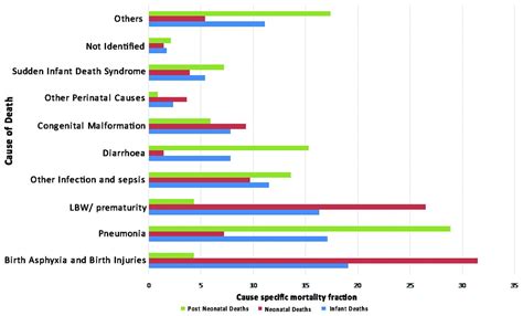 causes of and contributors to infant mortality in a rural community of