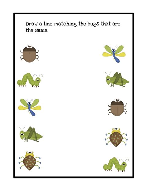 printable insect worksheet  preschool
