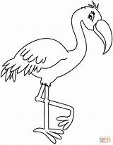 Coloring Flamingo Pages Printable Drawing sketch template