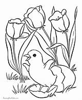 Coloring Pages Easter Flower Flowers Printable Holiday Print sketch template
