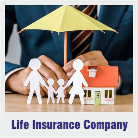 life insurance company   life insurance companies life