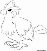 Pokemon Pidgey Coloring Pages Printable Info sketch template