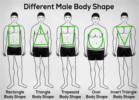 dress   body type  body shape  men nexoye