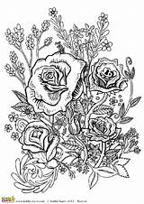 Coloring Pages Adults Flower Adult Roses Cool Four Flowers Printable Kiddycharts Rose Sheets Book Books Designs Site Freebies Printables Loads sketch template
