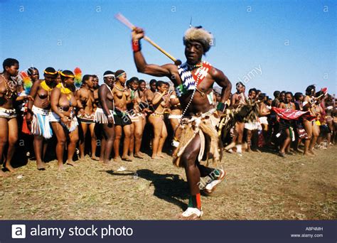 Zulu Reed Dance Ceremonial Participants Natal South