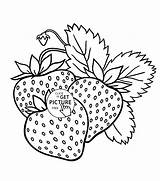 Coloring Fruit Strawberries Fruits Pages Strawberry Kids Drawing Printable Printables Wuppsy Plant Color Yummy Book Children Popular Flower Getdrawings Choose sketch template