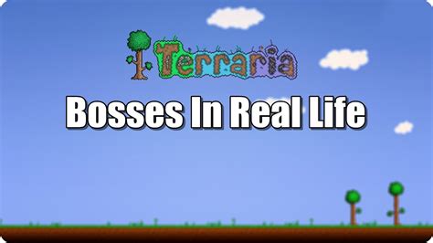 Terraria Bosses In Real Life Also Mini Bosses Youtube