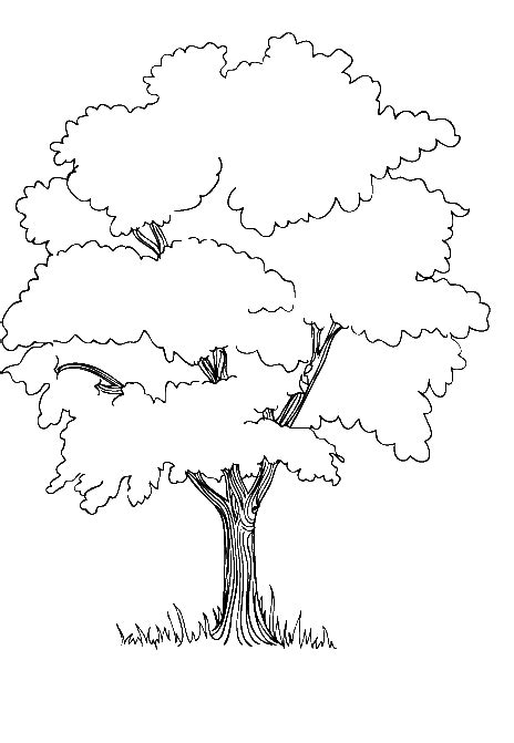 jungle coloring pictures google search tree coloring page earth