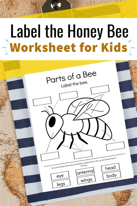 printable parts   bee preschool worksheet