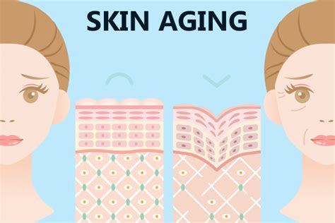 signs  skin aging    fix  emedihealth