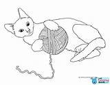 Cats Kitty Clipartqueen Clipground sketch template