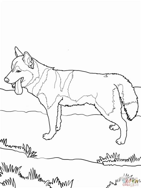 husky puppy coloring pages coloring home