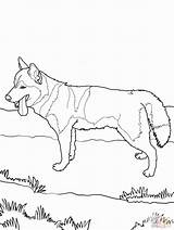 Coloring Husky Pages Puppy Siberian Dog Popular Color Uncategorized Wallpaper Getdrawings Drawing Coloringhome Choose Board Comments sketch template