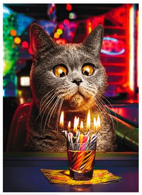 cat birthday card  printable birthday cards printbirthdaycards