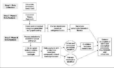 steps   qualitative research process  identify  describe