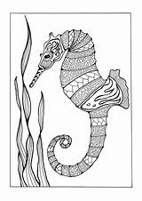 Coloring Seahorse Pages Adult Adults Colorful Printable Horse Kids Mandala Favecrafts Coloringbay Sheets Ocean Easy Choose Board sketch template