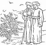 Seed Parable Parables Sabda Allah Kerajaan Perumpamaan Dua Benih Yesus Pertama Sang Activities Bonum Pax sketch template