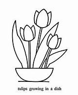 Coloring Tulip Flowers Pages Flower Tulips Simple Pointillism Printable Basic Easy Print Large Colouring Traceable Kids Color Patterns Friends May sketch template