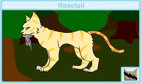 Rosetail Warrior Cat Rp Wiki Fandom Powered By Wikia